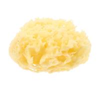 GALPADA Esponjas De Baño Naturales Para Niños 1 Unidad Tamaño 2.5-3.0 Pulgadas Textura De Panal Delicada Para Piel Sensible Uso Infantil y Facial