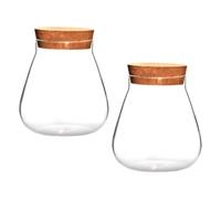 GALPADA Jarrón de Cristal Transparente Tapón de Corcho, Pack 2 Unidades, Maceta Decorativa para Micropaisaje y Plantas Hidropónicas, Recipiente Ecológico para Terrarios y Exhibición