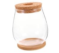 GALPADA Micro Paisaje Botella de Vidrio con Base de Bambú Soporte para Plantas Hidropónicas Decoración Transparente para Hogar Oficina y Terraza Kit DIY Terrario Compacto