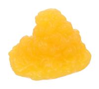 GALPADA Modelo Anatómico De 1 Libra De Grasa Corporal Para Demostración Educativa, Hecho De Material Tpe Duradero, Suave y Práctico, Adecuado Para Enseñanza De Fisiología y Motivación Fitness