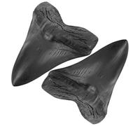 GALPADA Modelo de Diente de Megalodon de Resina Negro 2 Piezas para Decoración en Casa y Oficina Réplica Fósil Detallada para Coleccionistas