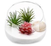 GALPADA Terrario De Vidrio para Plantas De Escritorio Corte Inclinado Botella De Vidrio Transparente para Micropaisaje Recipiente Decorativo para Oficina y Hogar Resistente