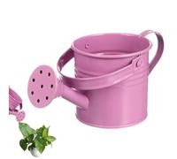 Galvanized Iron Watering Can - Plants Watering Can with Handle, Decorative Flower Container and Garden Ornament for Backyard, Patio, Lawn, Home, Outdoor Parties, Family, Friends