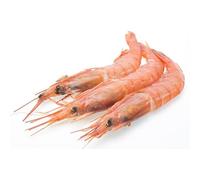 Gamba Blanca de Huelva - Pescadería Premium - 1 kg -Pescado y Marisco Fresco de Lonja (1 kg, Gamba Blanca)