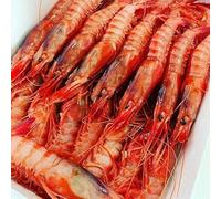 Gamba Roja Alistado - Pescadería Premium - 1 kg -Pescado y Marisco Fresco de Lonja (1 kg, Gamba Roja)