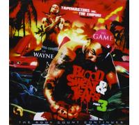 Game - Blood, Sweat and Tears 4