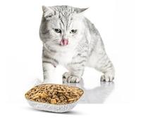 Gamelle Chat - Juego de 6 cuencos para gatos de mascotas en color - Plato de comida para gatos - Set de cubertería de 15 cm (A)