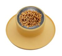 Gamelle Pour Animaux Sans Pointe - Mangeoire Antidérapante En Acier Inoxydable Et Silicone | Bol À Boire Anti-déversement Pour Chaton, Pour Voyage, Chenil D'intérieur, Petits Chiens Et Chats, Station