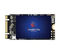 GAMERKING SSD M.2 2242 256GB 3D NAND TLC SATA III 6GB/s, unidad SSD interna - Compatible con ordenador de sobremesa y portátil (2242 256 GB)