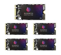 Gamerking SSD M.2 2242 - Unidad interna de estado sólido de 64 GB de alto rendimiento para computadora de escritorio y laptop, paquete de 5 unidades [64 GB (5 paquetes), M.2 2242]