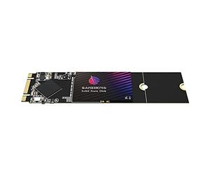 GamerKing SSD M.2 2280 64GB Disco Duro Interno De Unidad de Estado Sólido de Alto Rendimiento 1tb 512gb 256gb 128gb para Computadora Portátil de Escritor (64GB, M.2 2280)