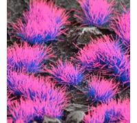 Gamers Grass - Tufts Alien Neon (4 mm) Shape: Wild