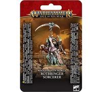 Games Workshop - Edad de Sigmar - Maggotkin de Nurgle: Hechicero Rotbringer