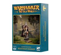 Games Workshop - Warhammer - The Old World - Beastman Brayherds: Beastman Shaman, marrón, gris, blanco, negro