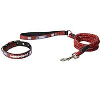 GameWear NFL New York Giants Pebble Grain Football Collar & Medium Leash Paquete de Regalo, pequeño, marrón