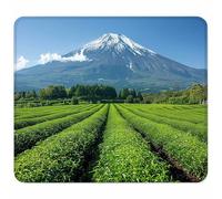 Gaming Alfombrilla de Ratón para Bordes Cosidos, Verde Alfombrilla Ratón Pequeña 300x250mm con Base de Goma Natural Antideslizante para Jugadores/Escritorio/Oficina/Hogar Regalo, Paisaje 9-3282