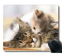 Gaming Mouse Pad, Baby Animal Kitten Animal Cute Kiss Band Love Cat Mouse Pad, Alfombrilla para computadora Cat029