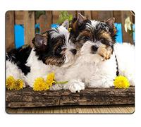Gaming Mouse Pad Beaver Yorkshire Terrier y Flores de Diente de león