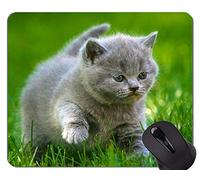 Gaming Mouse Pad Custom, Active Animal Cat Base de Goma Antideslizante Mousepad