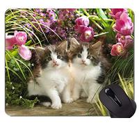 Gaming Mouse Pad Custom, Active Kitten Cat Base de goma antideslizante Mousepad