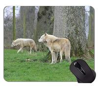 Gaming Mouse Pad Custom, Best Cool Wolf Mouse Pads