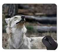 Gaming Mouse Pad Custom, Best Cool Wolf Mouse Pads