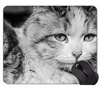 Gaming Mouse Pad Custom, Cat Wild Leopard antideslizante de goma con base Mousepad