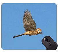 Gaming Mouse Pad Custom, Eagle Spread Wings Themes Alfombrilla de ratón con Borde Cosido