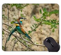 Gaming Mouse Pad Custom, European Bee Eater Gaming Alfombrillas para ratón