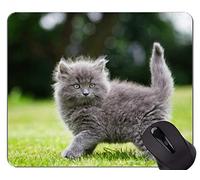 Gaming Mouse Pad Custom, Fluffy Kitten Defocus Cat Base de goma antideslizante Mousepad