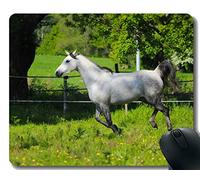 Gaming Mouse Pad Custom, galopando mamíferos yegua con Pasto Cosido