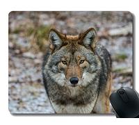 Gaming Mouse Pad Custom, Gray Wolf Home Office Accesorios para Ordenador Alfombrillas