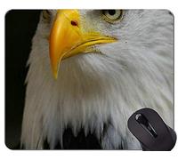 Gaming Mouse Pad Custom, Hawk Eagle Bird Mountain Temas Mouse Pad con Borde Cosido