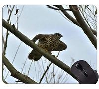 Gaming Mouse Pad Custom, Hawk Eagle Bird Mountain Temas Mouse Pad con Borde Cosido
