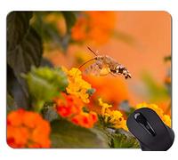 Gaming Mouse Pad Custom, Hummingbird Moth Orange Nectar Mouse Pad