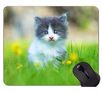 Gaming Mouse Pad Custom, Kitten Animal Cute Cat Grass Home Office Accesorios de computadora Alfombrillas
