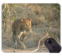Gaming Mouse Pad Custom, Mammal Cat Family Leopard Mouse Pads