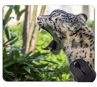 Gaming Mouse Pad Custom, Panther Cat Family Leopard Mouse Pads