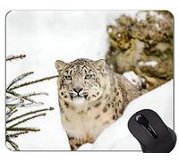 Gaming Mouse Pad Custom, Snow Leopard Cat Family Leopard Mouse Pads