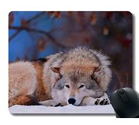 Gaming Mouse Pad Custom, Snow Wildlife Predator Lobo Animal Home Office Accesorios de computadora Alfombrillas