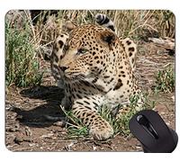Gaming Mouse Pad Custom, South Africa Cat Family Leopard Mouse Pads