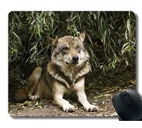 Gaming Mouse Pad Custom, Wildlife Predator Lobo Animal Antideslizante Gaming Mouse Pad