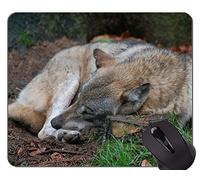 Gaming Mouse Pad, Fantasy Wolf In A Dark Winter Forest Alfombrillas De Raton