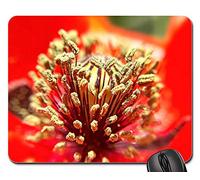 Gaming Mouse Pad, Flores Naturaleza Primer Plano Flora Jardín Al Aire Libre Alfombrilla Ratón Antideslizante Alfombrilla De Ratón Antideslizante Tapete De Juego para Oficina Trabajo 25X30Cm