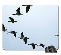 Gaming Mouse Pad, Formación Aves Migratorias Gansos Gansos Salvajes Mousepad Antideslizante Mouse Pad Antideslizante Mouse Mat para Pc Oficina 25X30Cm