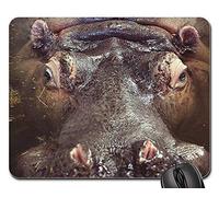 Gaming Mouse Pad, Hipopótamo Hipopótamo Animal Vida Silvestre Safari África Alfombrilla Raton Antideslizante Mousepad Antideslizante Alfombrilla De Ratón para Jugadore Pc 25X30Cm