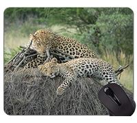 Gaming Mouse Pad, Leopard Cat Family Leopard Mouse Pads
