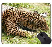 Gaming Mouse Pad, Leopard Cat Family Leopard Mouse Pads