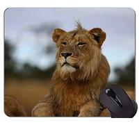 Gaming Mouse Pad, Lion Cat Family Leopard Mouse Pads