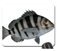Gaming Mouse Pad, Pescador A Escala De Taxidermia Montado En Fish Sheepshead Mouse Mat Antideslizante Alfombrilla Gaming Ergonómico Alfombrilla Raton para Ratón Trabajo 25X30Cm